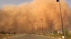 كيف تتجنب موجات الغبار وتأثيرها على صحتك؟