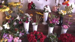 فكرة متجر بائع الورد في مدينة غزة وتوزيعه بطرق مختلفة