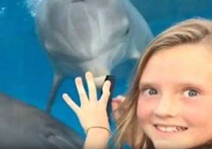 كيف استطاعت طفلة جذب الدلافين؟ (فيديو)‏