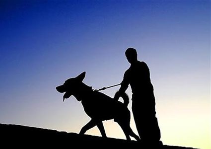 بالفيديو.. رجل يُضحي بحياته من أجل إنقاذ كلبه