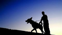 بالفيديو.. رجل يُضحي بحياته من أجل إنقاذ كلبه