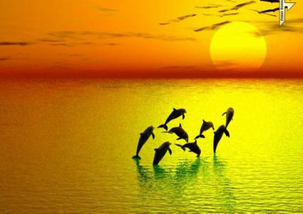 صباحك يابلد 22_2_2018