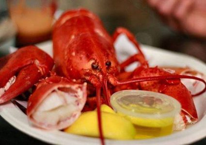 ممنوع طبخ سرطان البحر حيًّا لأنه...!