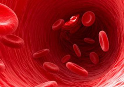 حقيقة صادمة.. الإنسان ينتج 2 مليون خلية دم حمراء فى الثانية الواحدة