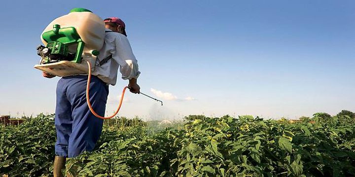 ازدياد السرطان في فلسطين .. فتّش عن الأسمدة والمبيدات