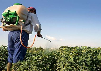 ازدياد السرطان في فلسطين .. فتّش عن الأسمدة والمبيدات