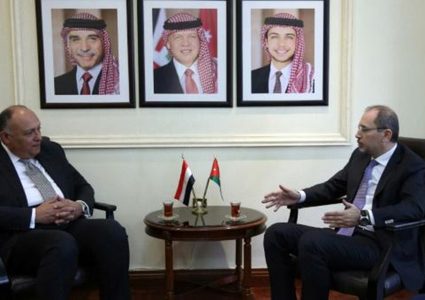 شكري والصفدي يبحثان جهود تحقيق المصالحة