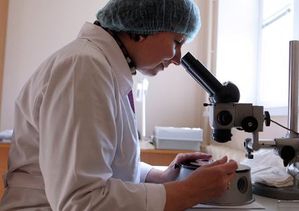 اختراع نواقل مرنة وشفافة مصنوعة من أنابيب نانو