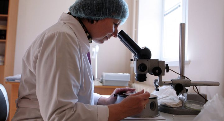 اختراع نواقل مرنة وشفافة مصنوعة من أنابيب نانو