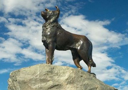 نصب تذكاري تكريما لكلبة انتظرت صاحبها 12 عاما!