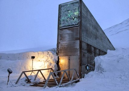 ما هو "قبو بذور يوم القيامة"؟