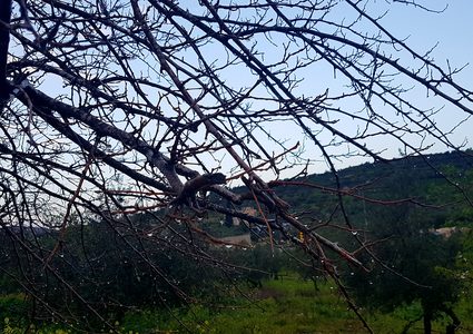 حالة الطقس: أمطار مصحوبة بعواصف رعدية في سعد السعود "صور"