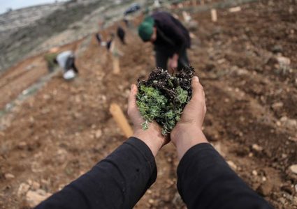 فلسطين تشارك في الدورة العامة لمنظمة "الأردو"