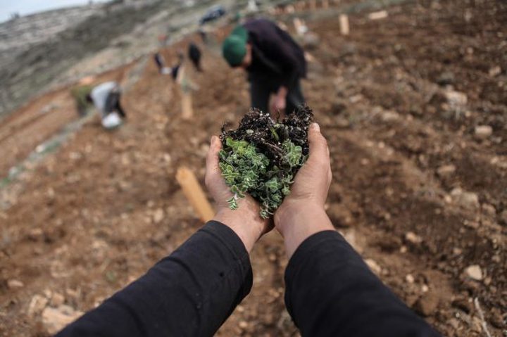 فلسطين تشارك في الدورة العامة لمنظمة "الأردو"