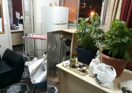 استغل دراسة الهندسة ليطور مختبرا لزراعة المخدرات