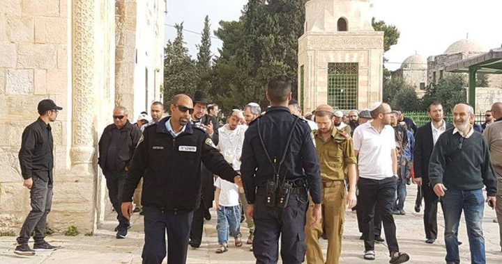 مستوطنون يقررون الاحتفال في "أعيادهم" باقتحام الاقصى الأربعاء والخميس