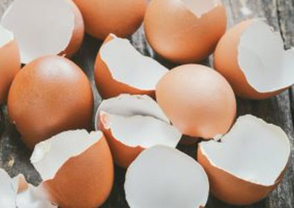 فوائد قشر البيض
