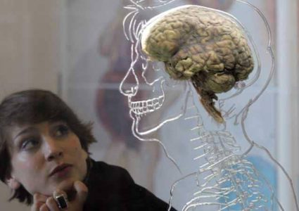 علماء يكشفون ما يحدث لدماغ الإنسان لحظة الاحتضار وبعد الموت