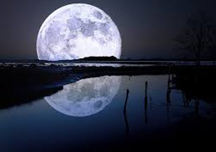 إطلاق أول شبكة للهواتف المحمولة على سطح القمر مطلع 2019