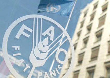 فاو: ارتفاع أسعار الغذاء 1.1% في فبراير