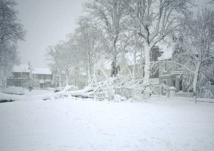 عواصف ثلجية قاتلة تضرب أوروبا