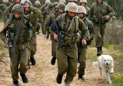 الاحتلال يدعم قواته بـ9 فصائل للسيطرة على الضفة بحال اندلاع حرب