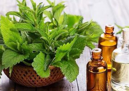 صحتك فى وصفة.. نعناع وعسل !