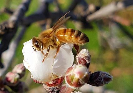 الطقس: ارتفاع على درجات الحرارة