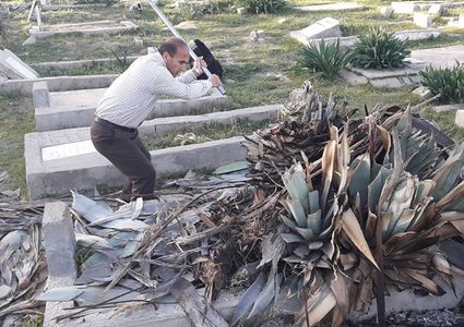 مواطن وأولاده يتطوعون لتنظيف مقبرة المغازي من الأشواك (صور، فيديو)