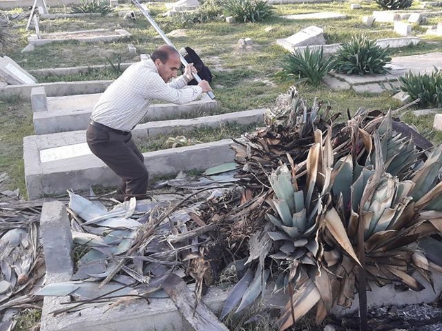 مواطن وأولاده يتطوعون لتنظيف مقبرة المغازي من الأشواك (صور، فيديو)