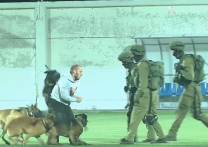 الكلاب المدربة.... أداة قمع ينتهجها الاحتلال (فيديو)