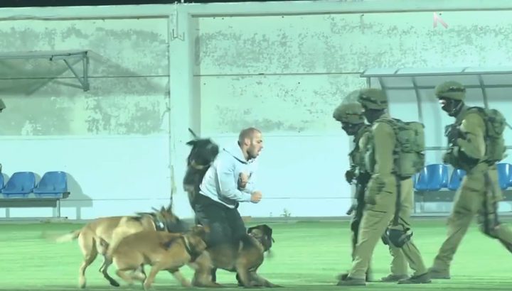 الكلاب المدربة.... أداة قمع ينتهجها الاحتلال (فيديو)