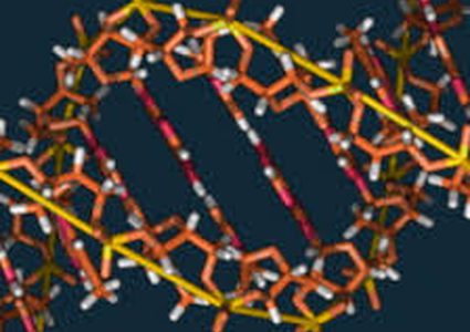 تحديد المناطق الجينية المسؤولة عن الفصام!