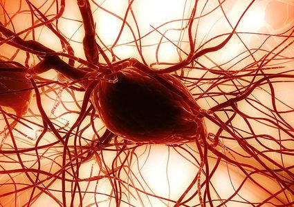 ماذا  يحدث لدماغ الإنسان لحظة الاحتضار وبعد الموت