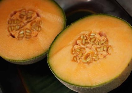 ما هي بكتيريا "الكنتالوب" التي قتلت 3 استراليين؟