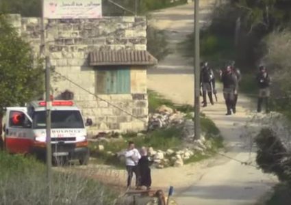 جريمة استهداف بورين...وشهد شاهد من أهله!