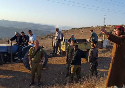 في سياسة الاحتلال قطف العكوب "جريمة"