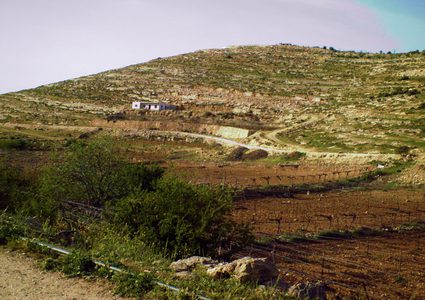 الاحتلال والمستوطنون ينصبون 4 "كرفانات" جديدة على جبل شرق الخليل