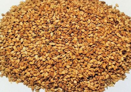 فوائد كثيرة للسمسم تعرف عليها‍