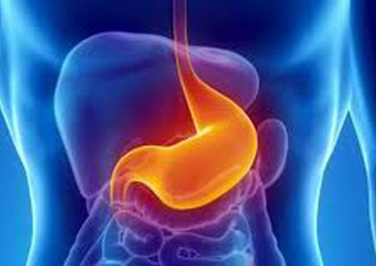 هل يزيد تناول الطعام من حجم المعدة