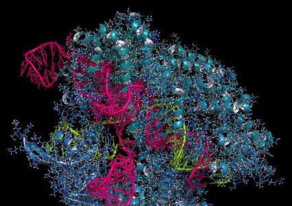 باحثون ينقلون تقنية تعديل الجينات لمرحلة جديدة