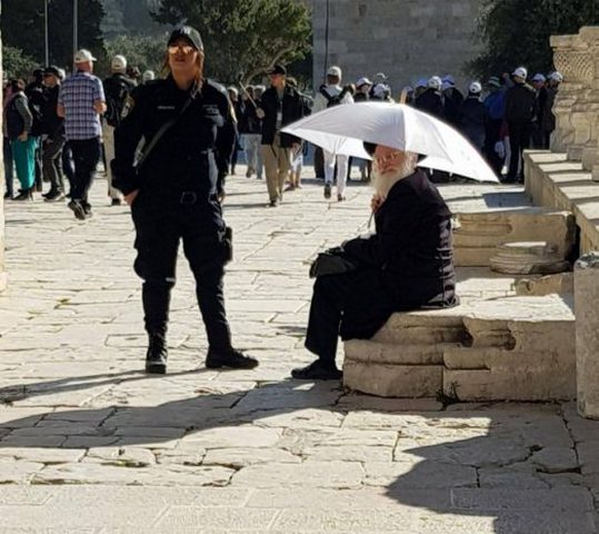 اغلاق باب المغاربة إثر اقتحام عشرات المستوطنين للأقصى