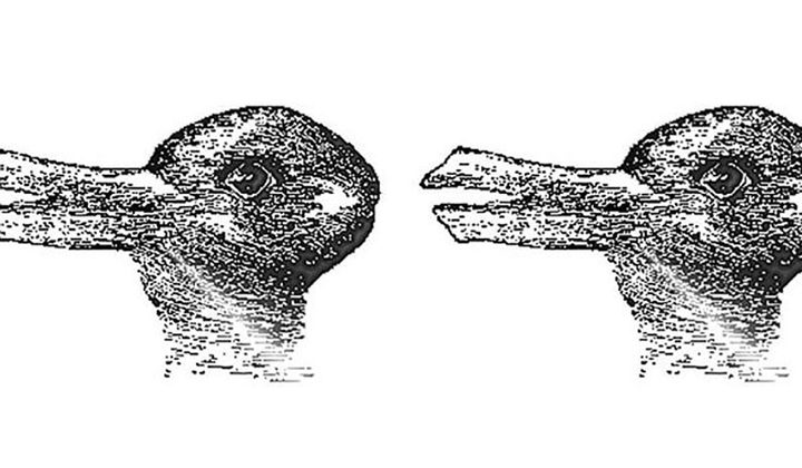 كيف يقوم الدماغ بتفسير الصور التي يراها!