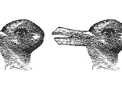 كيف يقوم الدماغ بتفسير الصور التي يراها!