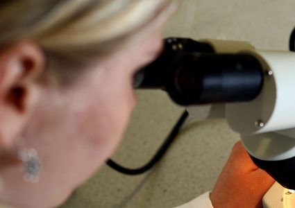 علماء يتمكنون من إنماء بويضات في مختبر