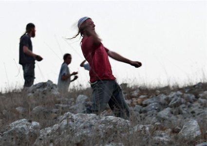 مستوطنون يهاجمون قرية التوانة في مسافر يطا