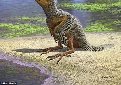 علماء يعثرون على أوائل الطيور التي عاشت في الأرض!