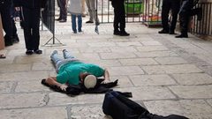 54 مستوطنًا يقتحمون باحات الأقصى