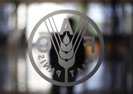 "فاو" تعلن عن مؤتمر وزاري استثنائي لدعم وكالة "الاونروا"