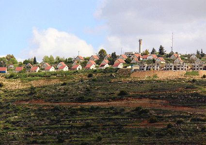 نابلس: ثلاثة شهداء وقلع وتخريب (650) شجرة زيتون حصيلة اعتداءات المستوطنين